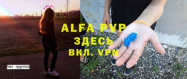 шишки Аркадак