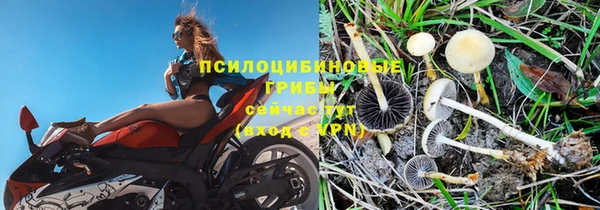 винт Арсеньев