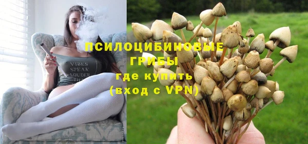 PSILOCYBIN Остров